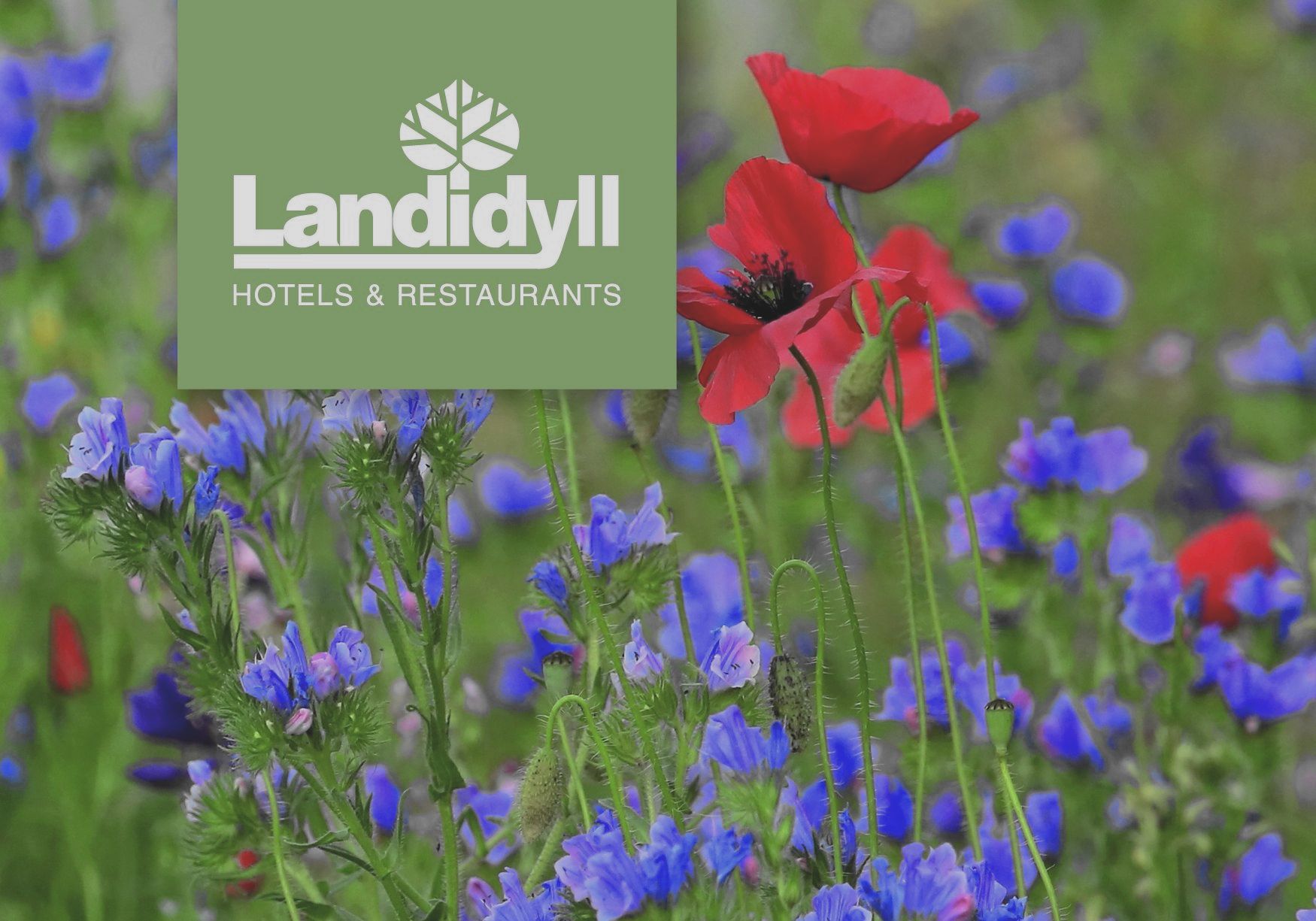 Landidyll_COVER_Magalog_2023_350 Landidyll_COVER_Magalog_2023