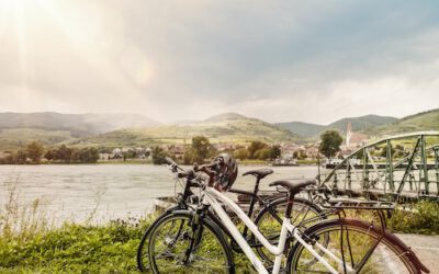Niederösterreich: Radtour mit Kultur