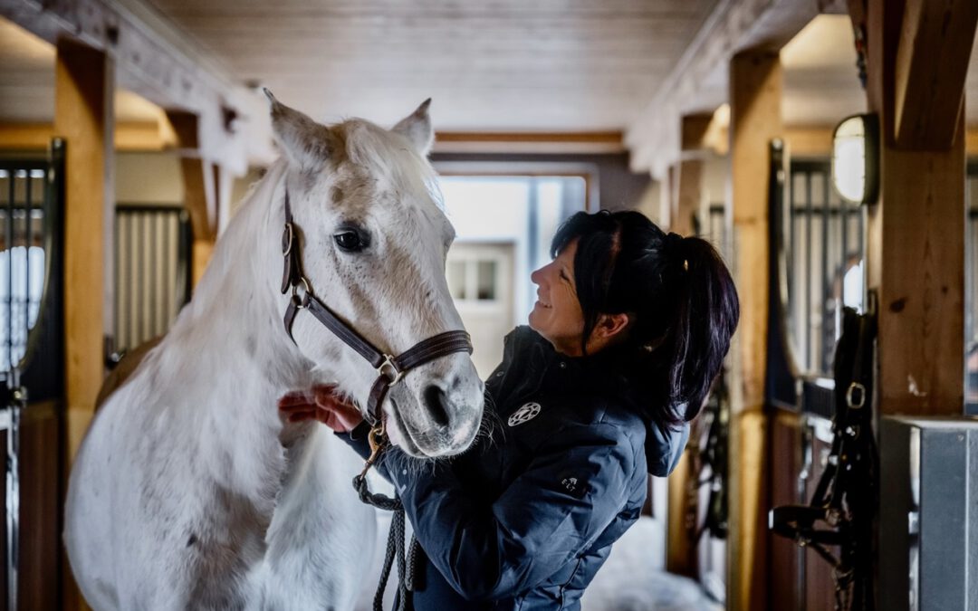 Zurück zum Ursprung