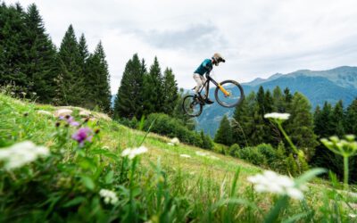 Im Olymp der Fahrradgötter