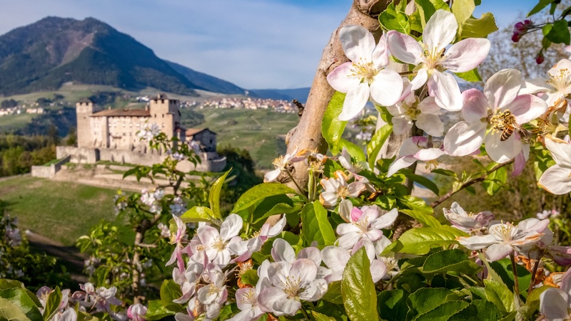 Eine Zeitreise in die Vergangenheit mit dem Trenino dei Castelli