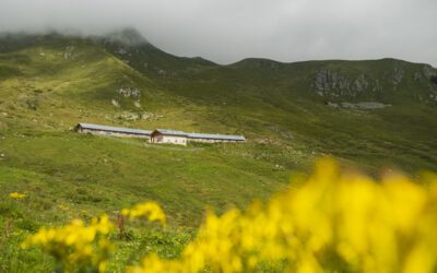 Schlemmen auf der Alm