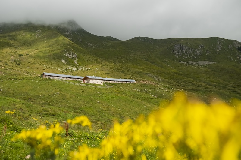 Schlemmen auf der Alm