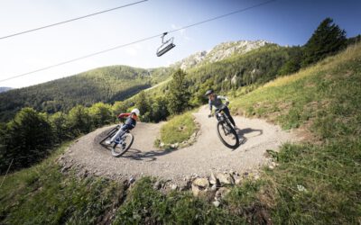 Freiheit und Adrenalin auf zwei Rädern in Niederösterreich: