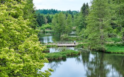 Alltag aus. Abenteuer an.