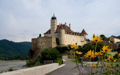 Von der Kellergasse bis zum Karpfenteich